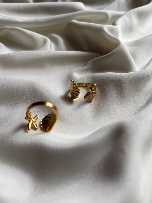 Sea shell ring