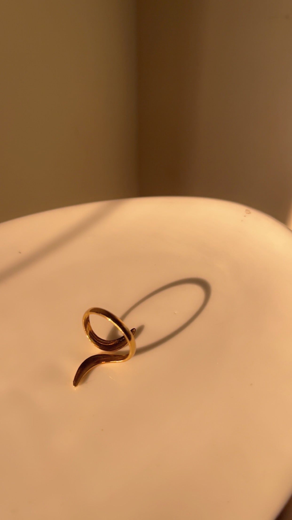 Splash ring