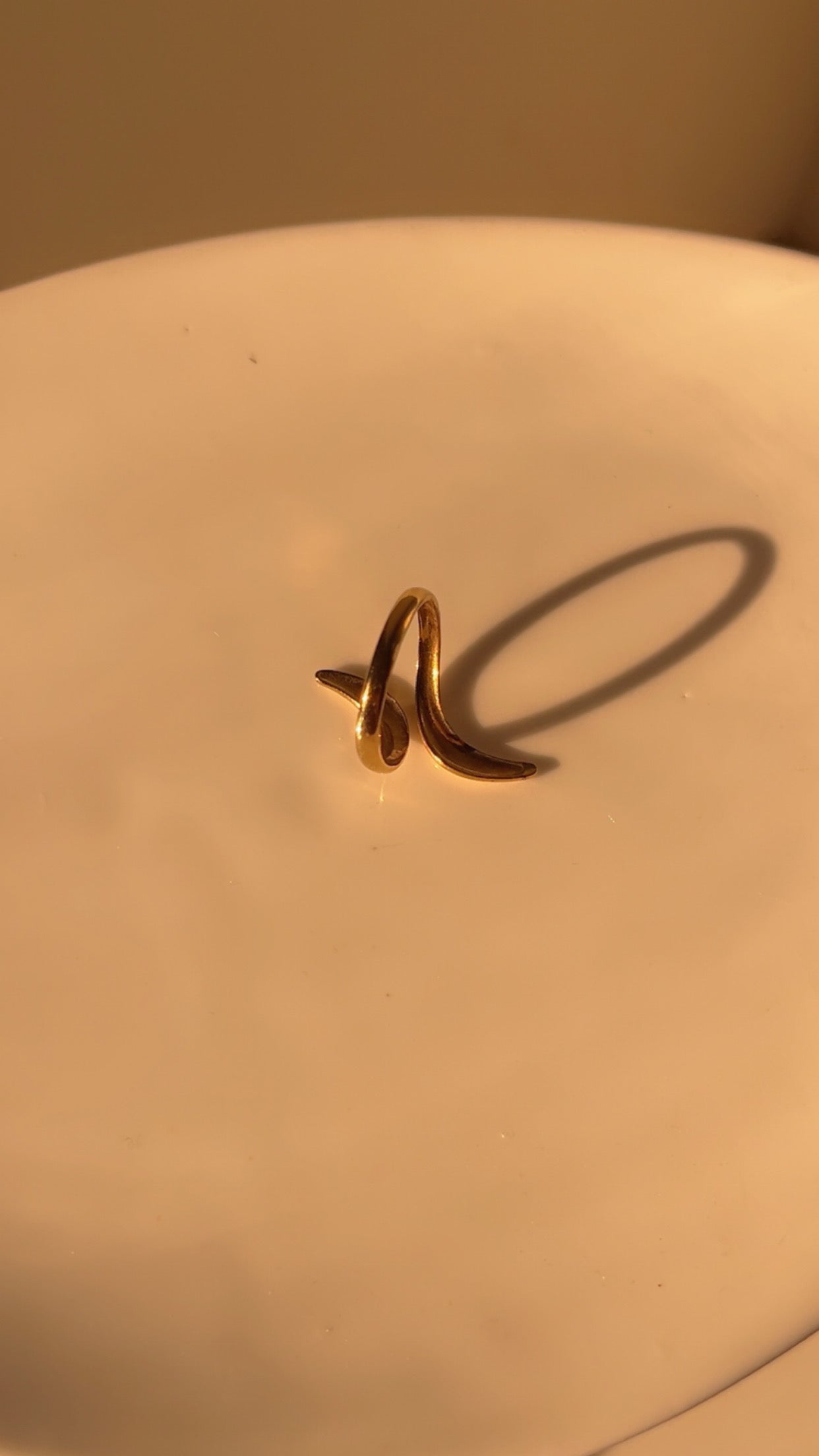 Splash ring